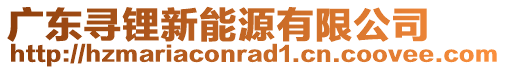 廣東尋鋰新能源有限公司