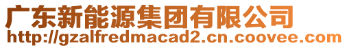 廣東新能源集團有限公司