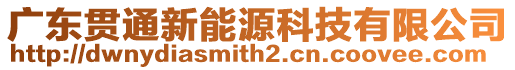 廣東貫通新能源科技有限公司
