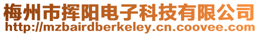 梅州市揮陽電子科技有限公司