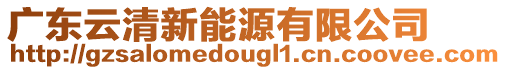 廣東云清新能源有限公司