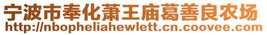 寧波市奉化蕭王廟葛善良農場