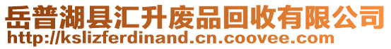 岳普湖縣匯升廢品回收有限公司
