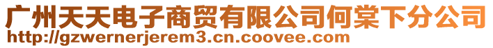 廣州天天電子商貿有限公司何棠下分公司