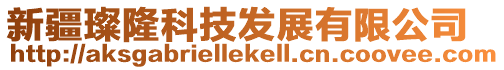 新疆璨隆科技發(fā)展有限公司