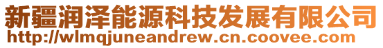新疆潤澤能源科技發展有限公司