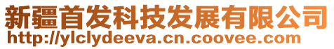 新疆首發科技發展有限公司