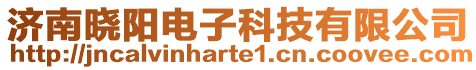 濟(jì)南曉陽電子科技有限公司
