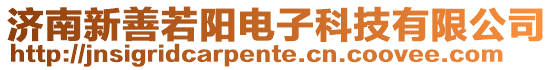 濟南新善若陽電子科技有限公司