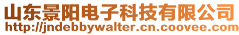 山東景陽電子科技有限公司