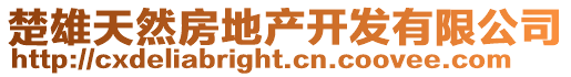 楚雄天然房地產開發有限公司