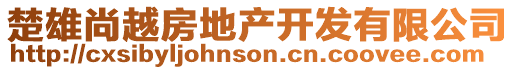 楚雄尚越房地產開發有限公司