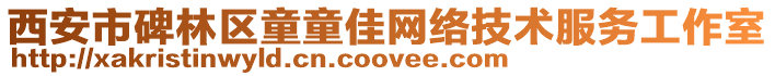西安市碑林區童童佳網絡技術服務工作室