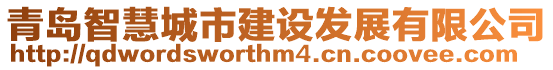 青島智慧城市建設發展有限公司
