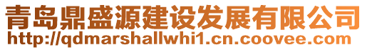 青島鼎盛源建設發展有限公司