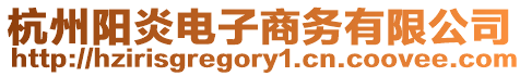 杭州陽炎電子商務有限公司