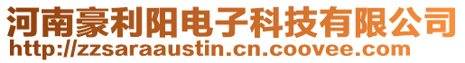 河南豪利陽(yáng)電子科技有限公司
