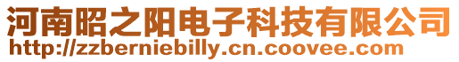 河南昭之陽電子科技有限公司