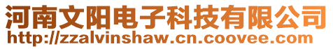 河南文陽(yáng)電子科技有限公司