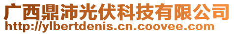 廣西鼎沛光伏科技有限公司