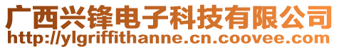 廣西興鋒電子科技有限公司