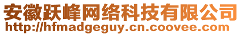 安徽躍峰網(wǎng)絡(luò)科技有限公司