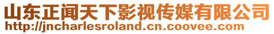 山東正聞天下影視傳媒有限公司