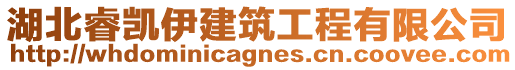 湖北睿凱伊建筑工程有限公司
