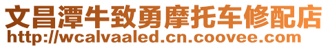 文昌潭牛致勇摩托車(chē)修配店