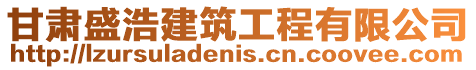 甘肅盛浩建筑工程有限公司