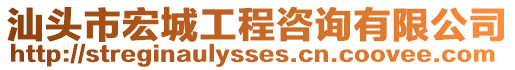 汕頭市宏城工程咨詢有限公司