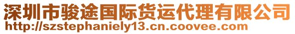 深圳市駿途國際貨運代理有限公司
