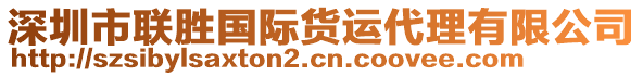 深圳市聯勝國際貨運代理有限公司