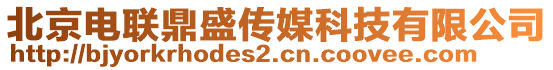 北京電聯鼎盛傳媒科技有限公司