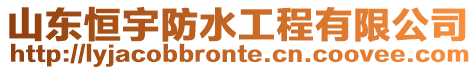 山東恒宇防水工程有限公司