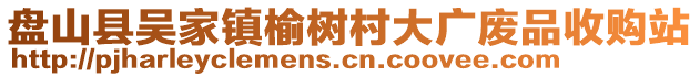 盤山縣吳家鎮榆樹村大廣廢品收購站