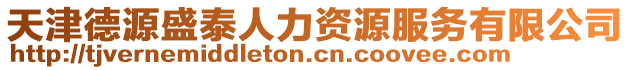 天津德源盛泰人力資源服務有限公司