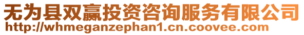 無為縣雙贏投資咨詢服務有限公司