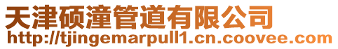 天津碩潼管道有限公司