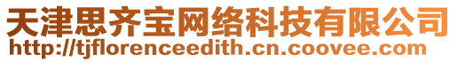 天津思齊寶網絡科技有限公司