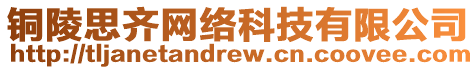 銅陵思齊網絡科技有限公司