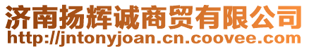 濟南揚輝誠商貿有限公司