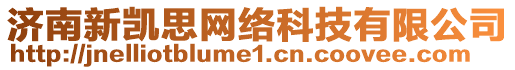 濟南新凱思網絡科技有限公司