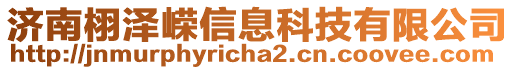 濟南栩澤嶸信息科技有限公司