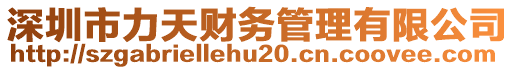 深圳市力天財務(wù)管理有限公司