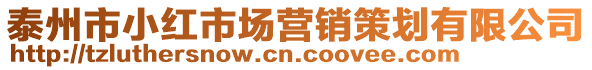 泰州市小紅市場營銷策劃有限公司