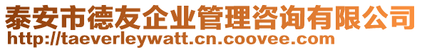 泰安市德友企業(yè)管理咨詢有限公司