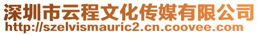 深圳市云程文化傳媒有限公司