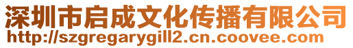 深圳市啟成文化傳播有限公司