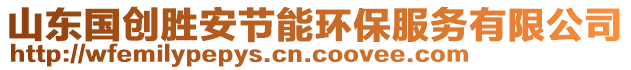 山東國(guó)創(chuàng)勝安節(jié)能環(huán)保服務(wù)有限公司